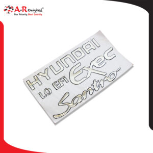Hyundai Santro Exec Coating Sticker